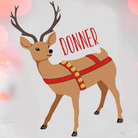 Reindeers - Learn about Santa’s Reindeer- Reindeer FAQ’S.